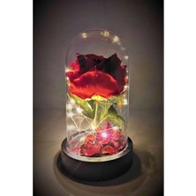Cennet Home Fanusta LED Işıklı Kırmızı Gül Hediyelik Yapay Çiçek Özel Günler Için 3 Fonksiyonlu