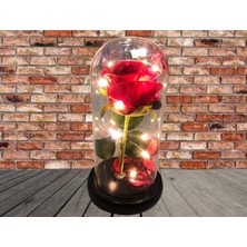 Cennet Home Fanusta LED Işıklı Kırmızı Gül Hediyelik Yapay Çiçek Özel Günler Için 3 Fonksiyonlu