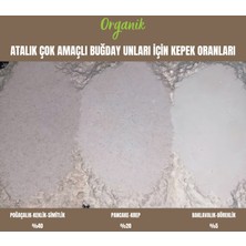 Organik Atalık Çok Amaçlı Un - Baklavalık-Böreklik - 10 Kilo