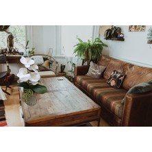 Cennet Home Kütük Saksıda Lüks Islak Orkide Dekoratif Hediyelik Yapay Çiçek