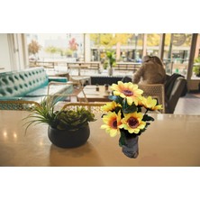 Cennet Home Kütük Saksıda Mini Ayçiçeği Günebakan Sunflower Dekoratif Yapay Çiçek