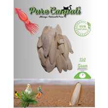 Purecanpati Mürekkep Balığı Kalamar Kemiği 150GR Kırıklı ve Ufak Boy Kalamar Kemiği 150 Gram + Tutacak  +