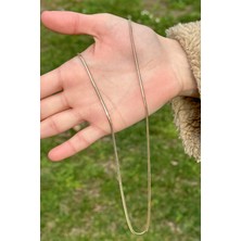 ÇGK KUYUMCULUK 14 Ayar 2 mm Balık Sırtı Altın Kolye 14CGKKLY008