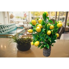 Cennet Home  Kütük Saksıda Limon Demeti Masaüstü Hediyelik Dekoratif Yapay Çiçek