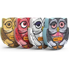 Silka Baykuş Şekilli Silgi Seti 4 Parça Eğlenceli Renkli Tasarım Çocuklar İçin