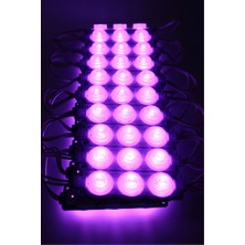 Hazar Led 12 Volt 3’lü Lensli 3 Watt 3030 Reklamcı Modül LED Mor (10 Adet)