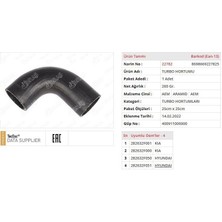 Ölmez Turbo Hortumu Hyundaı Santa Fé Iı (Cm)Kıa Sorento Iı (Xm)