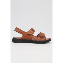 Pierre Cardin PC-7150 - 2115 Taba-Erkek Sandalet