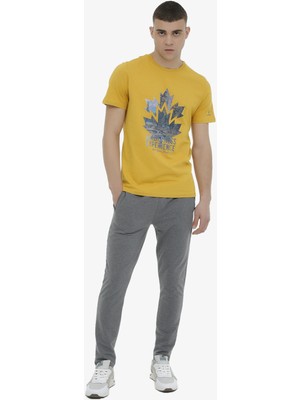 Lumberjack 4m M-CT121 Basic T.pnt 4fx Erkek Gri Eşofman Altı 101497427