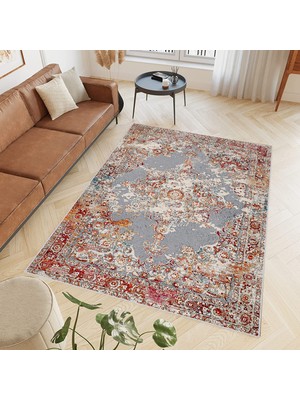 Rovigo Home Dijital Baskı Yıkanabilir Kaymaz Taban Salon Halısı ve Yolluk  RVG0793