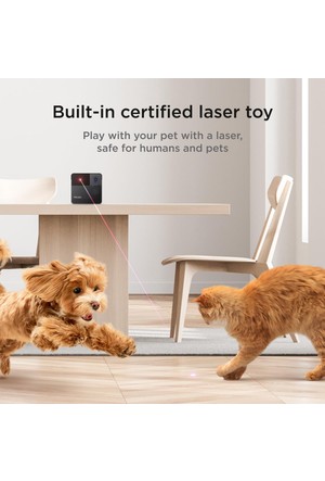 Petcube wifi hotsell