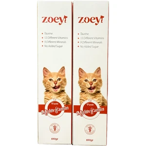 Multivitamin Cat Paste X2 Adet