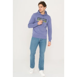 Jack & Jones Logo Baskılı Kapüşonlu Sweatshirt - Walter