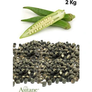 Bamya Tohumu 1.sınıf Ilaçsız Yenilebilir  2 kg