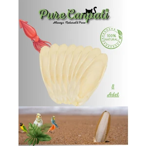 Purecanpati Kalamar Kemiği 8ADET (6-8cm)