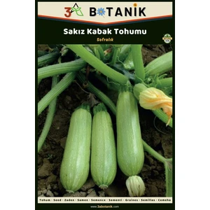 3A Botanik Sakız Kabak Tohumu, Yerli ve Sürdürülebilir Tohum, 10 Gram Kabak Tohumu