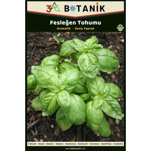 3A Botanik Fesleğen Tohumu, Yerli ve Sürdürülebilir Tohum, 2 Gram Fesleğen Tohumu
