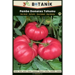 3A Botanik Pembe Domates Tohumu, Yerli ve Sürdürülebilir Tohum, 1 Gram Domates Tohumu