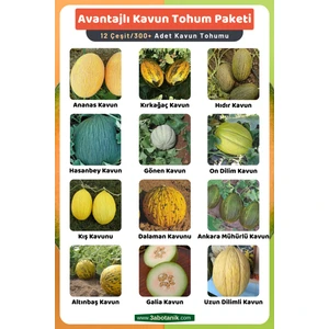 3A Botanik Avantajlı Kavun Tohum Paketi, 12 Çeşit Kavun Tohumu, Takribi 300 Adet Kavun Tohumu