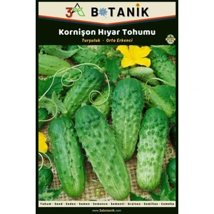 3A Botanik Kornişon Hıyar (Salatalık) Tohumu, Yerli ve Sürdürülebilir Tohum, 2 Gram Hıyar Tohumu
