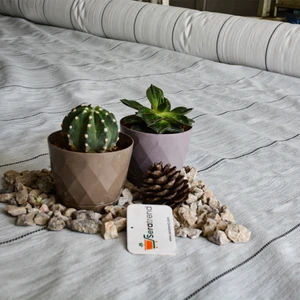 Sera Trend 420 cm Enli Beyaz Sulzer Kumaş Sera Taban Örtüsü Jüt Blueberry Peyzaj Uygulama Örtüsü Mulch Naylonu Çilek Malç