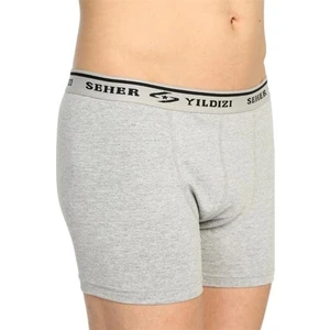 Yıldız 0060 Erkek Elestan Boxer Gri