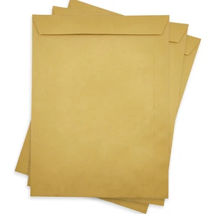 Zarf A4 Boyutunda Formula Torba Zarf 24X32 cm - 10 Adet