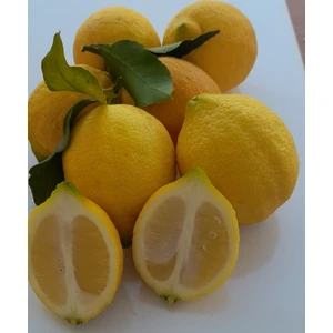Limon 2 kg
