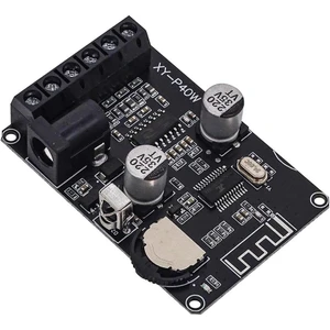 XY-P40W Bluetooth 5.0 Ses Alıcısı Amplifikatör Modülü 12/24V