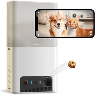 Petcube bites pet 2025 camera with treat dispenser