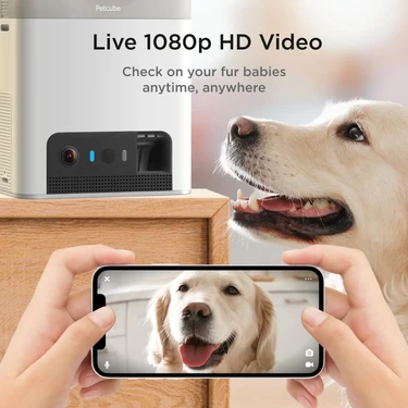 Petcube bites wifi outlet pet camera