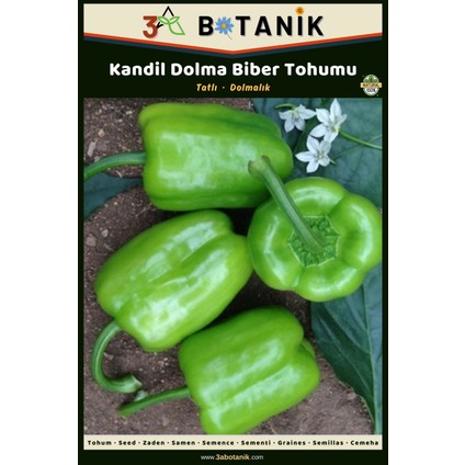 Kandil Biber Tohumu, Yerli ve Sürdürülebilir Tohum, 5 Gram Tohum