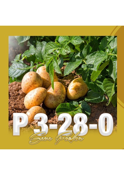 P 3-28-0 Sıvı Fosfor Gübre 20 Litre