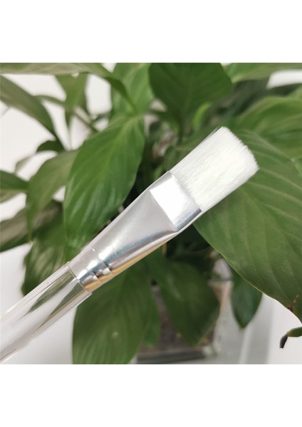 6 Adet Tarzı 10- Şeffaf Plastik Saplı Fırça Suluboya Boya Bruool Malzemeleri Sanat Aksesuarları Maske Fırçası Makyaj Aracı Fırça (Yurt Dışından) modelleri