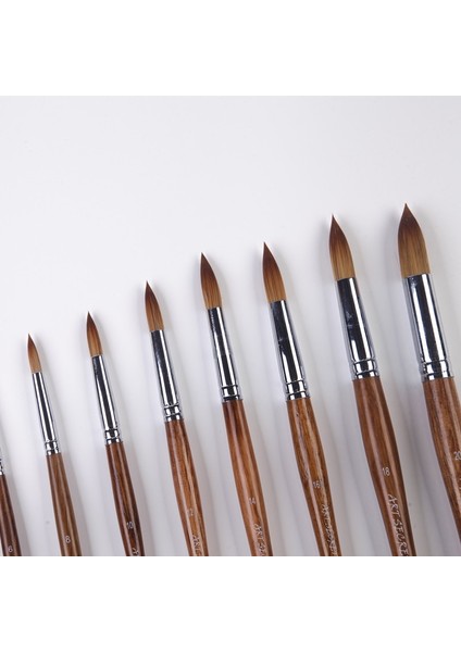 Boyut 10 1 Adet Stil Artsecret 2089R Boyama Fırçaları Sincap Sentetik Karışık Saç Meşe Kısa Ahşap Saplı Sanat Suluboya ve Akrilik Çizim Için (Yurt Dışından) fiyatları