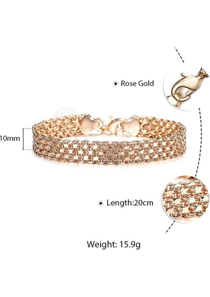 8 Inç 20CM Tarzı CB13 Davieslee Wome Için Bilezikler Gül Altın Dolgulu Zincirler Erkek Bayan Bracelat Tilki Kuyruğu Dövülmüş Bismark Zincir cm Dcbb1 (Yurt Dışından)