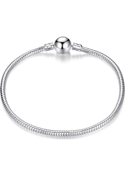 17CM Tarzı CMS1104B cm Gümüş Renk Aşk Yılan Zincir Bilezik Fit Orijinal Tasarım Boncuk Charm Dıy Boncuk Bilezik Takı Yapımı Moda Hediye (Yurt Dışından)
