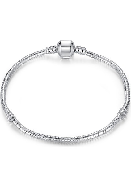 17CM Tarzı CMS1104B cm Gümüş Renk Aşk Yılan Zincir Bilezik Fit Orijinal Tasarım Boncuk Charm Dıy Boncuk Bilezik Takı Yapımı Moda Hediye (Yurt Dışından) fırsatları