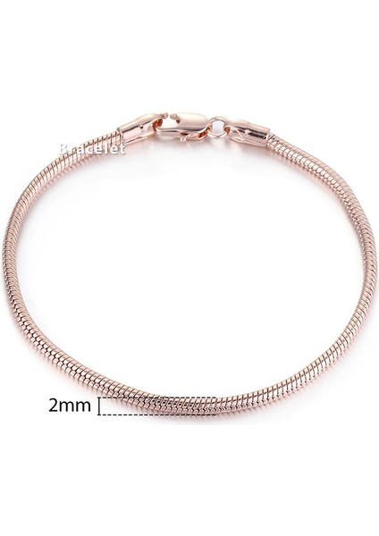 8 Inç 20CM Tarzı GB250 Davieslee Wome Için Bilezikler Gül Altın Dolgulu Zincirler Erkek Bayan Bracelat Tilki Kuyruğu Dövülmüş Bismark Zincir cm Dcbb1 (Yurt Dışından)