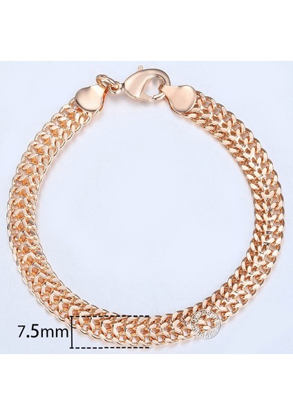 8 Inç 20CM Tarzı CB06 Davieslee Wome Için Bilezikler Gül Altın Dolgulu Zincirler Erkek Bayan Bracelat Tilki Kuyruğu Dövülmüş Bismark Zincir cm Dcbb1 (Yurt Dışından)