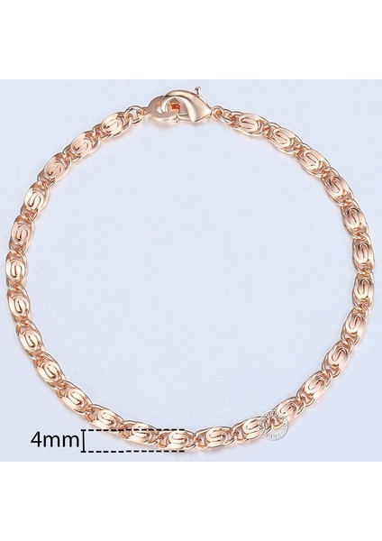 8 Inç 20CM Tarzı CB08 Davieslee Wome Için Bilezikler Gül Altın Dolgulu Zincirler Erkek Bayan Bracelat Tilki Kuyruğu Dövülmüş Bismark Zincir cm Dcbb1 (Yurt Dışından)