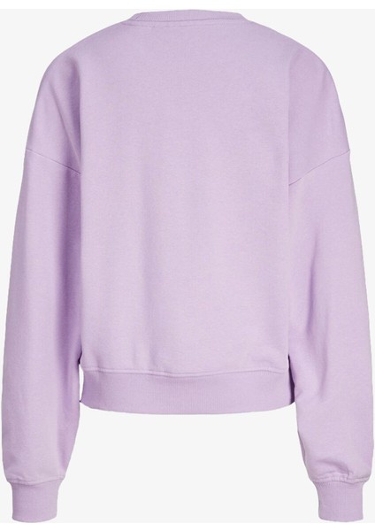 Jxriley Reg Ls Kadın Mor Sweatshirt 12248650-LILACBREEZE fiyatları