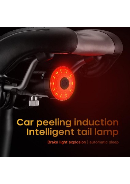Bordo Tarzı Bisiklet Arka Arka Lambası Akıllı Sensör Fren Lambası Endüksiyon Işığı Dağ Bisikleti USB Şarj Uyarı Işığı Bisiklet Aksesuarları (Yurt Dışından) modelleri