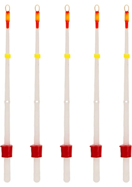 5 Adet 100MM Tarzı Et Taşınabilir Buz Olta Üst Ucu Yüksek Yoğunluklu Kış Su Geçirmez Olta Kamışı Göl Okyanus Tekne Balıkçılık Aksesuarı (Yurt Dışından)