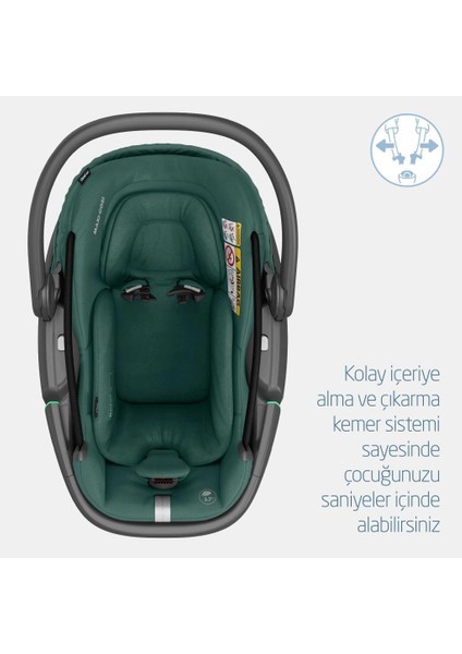 Coral 360 Ana Kucağı Essential Green