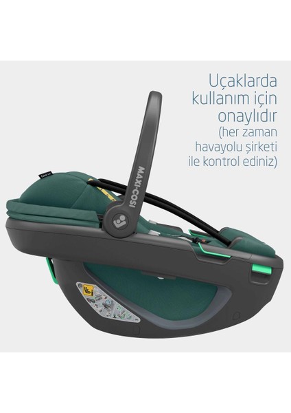 Coral 360 Ana Kucağı Essential Green