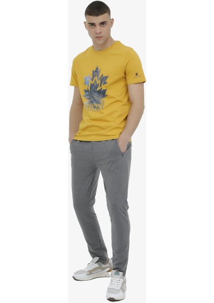 4m M-CT121 Basic T.pnt 4fx Erkek Gri Eşofman Altı 101497427 fiyatları