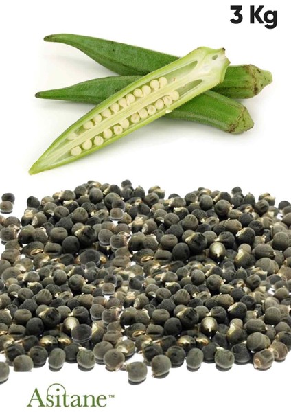 Bamya Tohumu 1.sınıf Ilaçsız Yenilebilir 3 kg