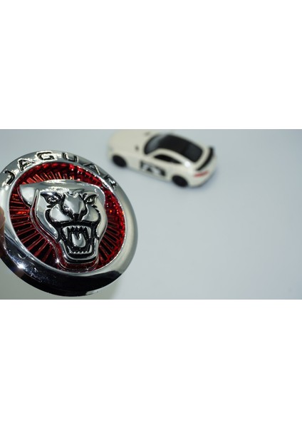 Tuning Jaguar Xe Xf Xfr Xfr-S Xj Xjr Ön Panjur Izgara Panter Logo