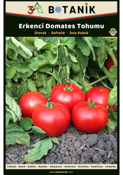 Erkenci Domates Tohumu, Yerli ve Sürdürülebilir Tohum, 3 Gram Domates Tohumu
